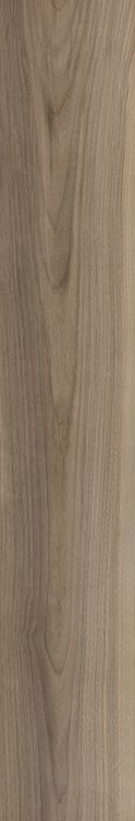 Harper Taupe 8 x 48